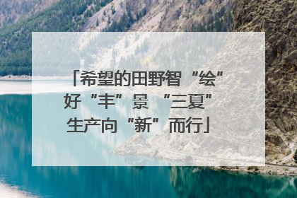 希望的田野智“绘”好“丰”景 “三夏”生产向“新”而行