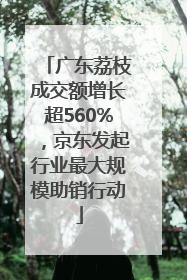 广东荔枝成交额增长超560%，京东发起行业最大规模助销行动