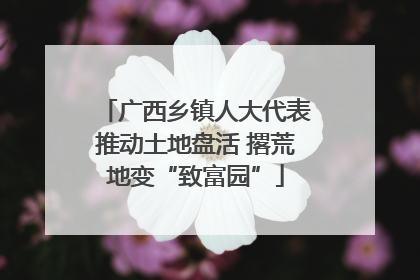 广西乡镇人大代表推动土地盘活 撂荒地变“致富园”