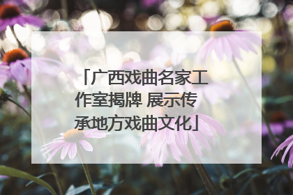 广西戏曲名家工作室揭牌 展示传承地方戏曲文化