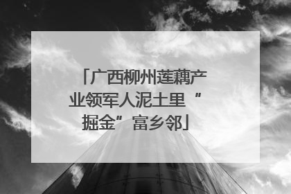 广西柳州莲藕产业领军人泥土里“掘金”富乡邻