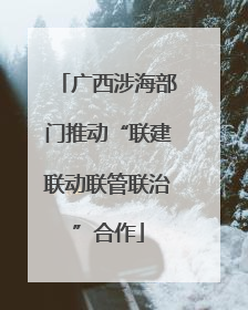 广西涉海部门推动“联建联动联管联治”合作