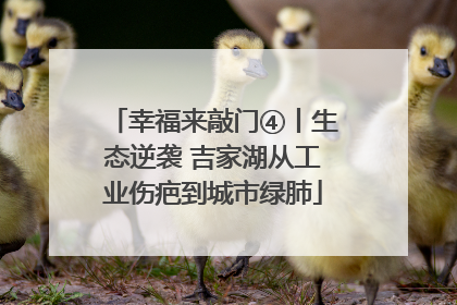 幸福来敲门④丨生态逆袭 吉家湖从工业伤疤到城市绿肺