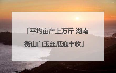 平均亩产上万斤 湖南衡山白玉丝瓜迎丰收