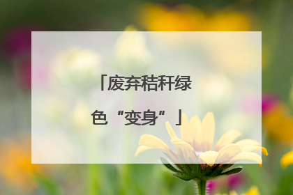 废弃秸秆绿色“变身”