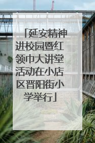延安精神进校园暨红领巾大讲堂活动在小店区晋阳街小学举行