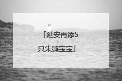 延安再添5只朱鹮宝宝