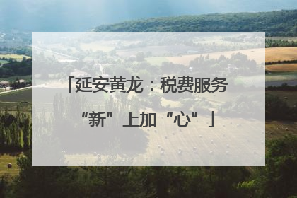 延安黄龙：税费服务“新”上加“心”