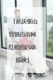 延庆张山营镇百亩网红稻田启动插秧