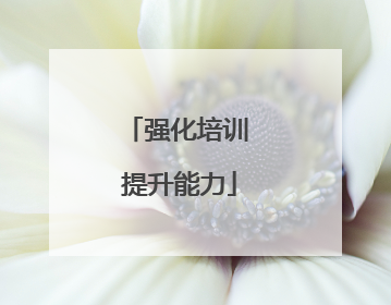 强化培训 提升能力