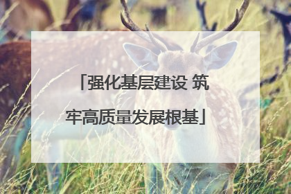 强化基层建设 筑牢高质量发展根基