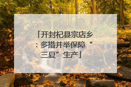 开封杞县宗店乡：多措并举保障“三夏”生产