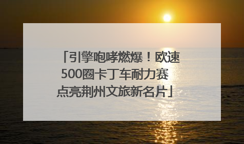 引擎咆哮燃爆！欧速500圈卡丁车耐力赛点亮荆州文旅新名片