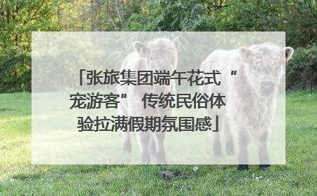 张旅集团端午花式“宠游客” 传统民俗体验拉满假期氛围感