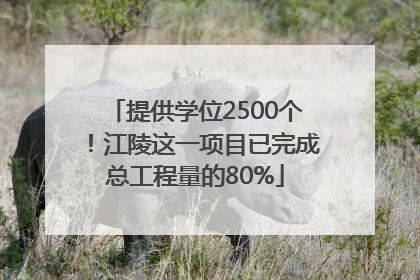提供学位2500个！江陵这一项目已完成总工程量的80%