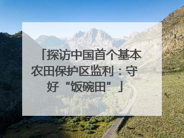 探访中国首个基本农田保护区监利：守好“饭碗田”