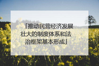 推动民营经济发展壮大的制度体系和法治框架基本形成