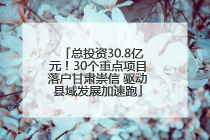总投资30.8亿元！30个重点项目落户甘肃崇信 驱动县域发展加速跑