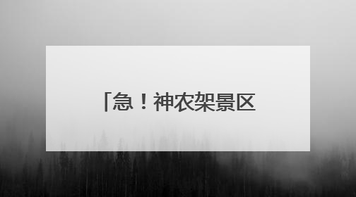 急！神农架景区：日薪500元，急招“野人”！