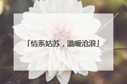 情系姑苏，温暖沧浪