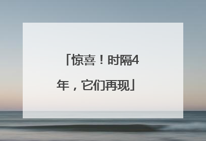惊喜！时隔4年，它们再现