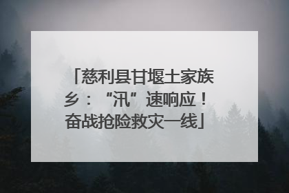 慈利县甘堰土家族乡：“汛”速响应！奋战抢险救灾一线