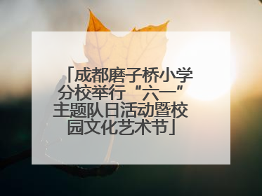 成都磨子桥小学分校举行“六一”主题队日活动暨校园文化艺术节