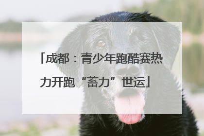 成都：青少年跑酷赛热力开跑“蓄力”世运
