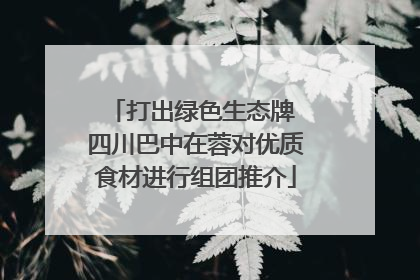 打出绿色生态牌 四川巴中在蓉对优质食材进行组团推介