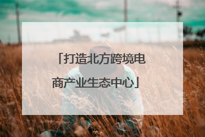 打造北方跨境电商产业生态中心
