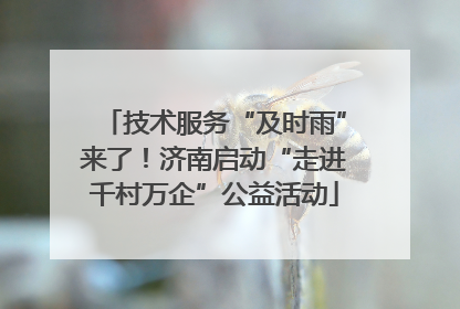 技术服务“及时雨”来了！济南启动“走进千村万企”公益活动
