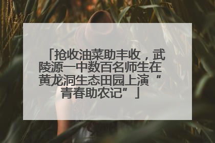 抢收油菜助丰收，武陵源一中数百名师生在黄龙洞生态田园上演“青春助农记”