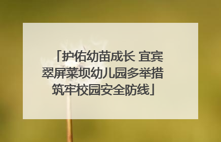 护佑幼苗成长 宜宾翠屏菜坝幼儿园多举措筑牢校园安全防线