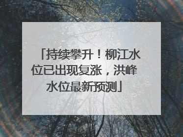 持续攀升！柳江水位已出现复涨，洪峰水位最新预测