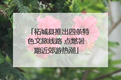 柘城县推出四条特色文旅线路 点燃暑期近郊游热潮