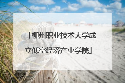 柳州职业技术大学成立低空经济产业学院