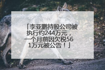 李亚鹏持股公司被执行约244万元，一个月前因欠税561万元被公告！