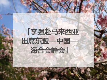 李强赴马来西亚出席东盟—中国—海合会峰会