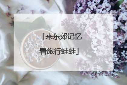 来东郊记忆 看旅行蛙蛙
