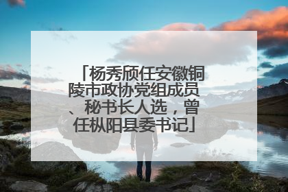杨秀颀任安徽铜陵市政协党组成员、秘书长人选，曾任枞阳县委书记