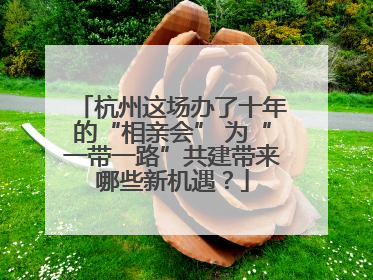 杭州这场办了十年的“相亲会” 为“一带一路”共建带来哪些新机遇？