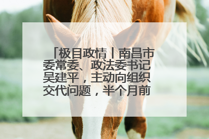 极目政情丨南昌市委常委、政法委书记吴建平，主动向组织交代问题，半个月前还在出席会议