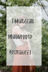 林武在淄博调研督导经济运行