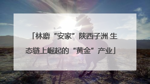 林麝“安家”陕西子洲 生态链上崛起的“黄金”产业