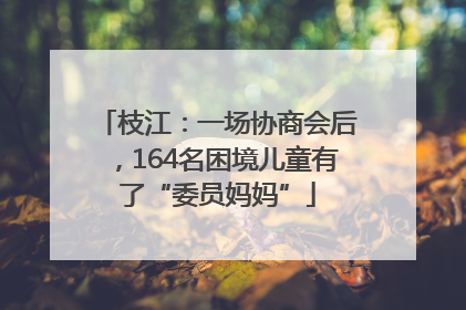 枝江：一场协商会后，164名困境儿童有了“委员妈妈”