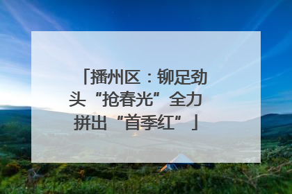 播州区：铆足劲头“抢春光”全力拼出“首季红”