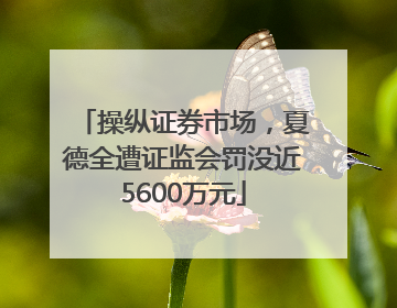 操纵证券市场，夏德全遭证监会罚没近5600万元