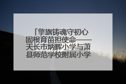 擎旗铸魂守初心 固根育苗担使命——天长市炳辉小学与萧县师范学校附属小学结对共建活动纪实