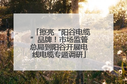 擦亮“阳谷电缆”品牌！市场监管总局到阳谷开展电线电缆专题调研