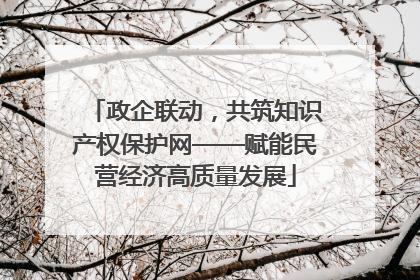 政企联动，共筑知识产权保护网——赋能民营经济高质量发展